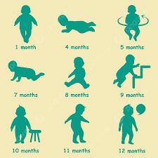 growth and development of newborn growth and development of newborn