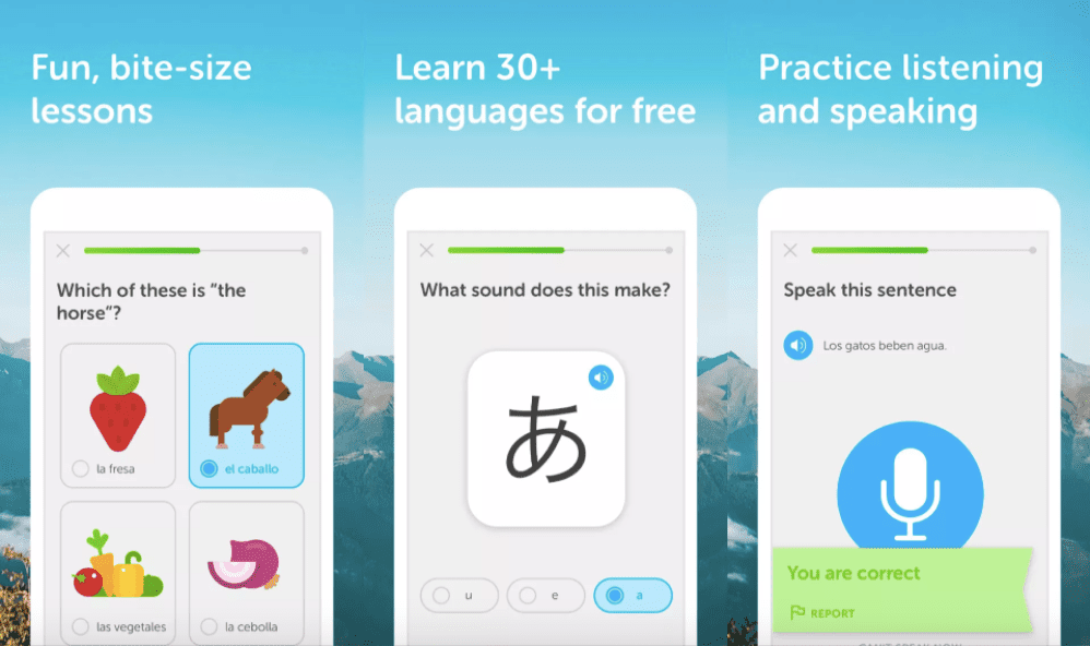 Duolingo b29a7ac4210e44dd9e43aba1cc4e614b