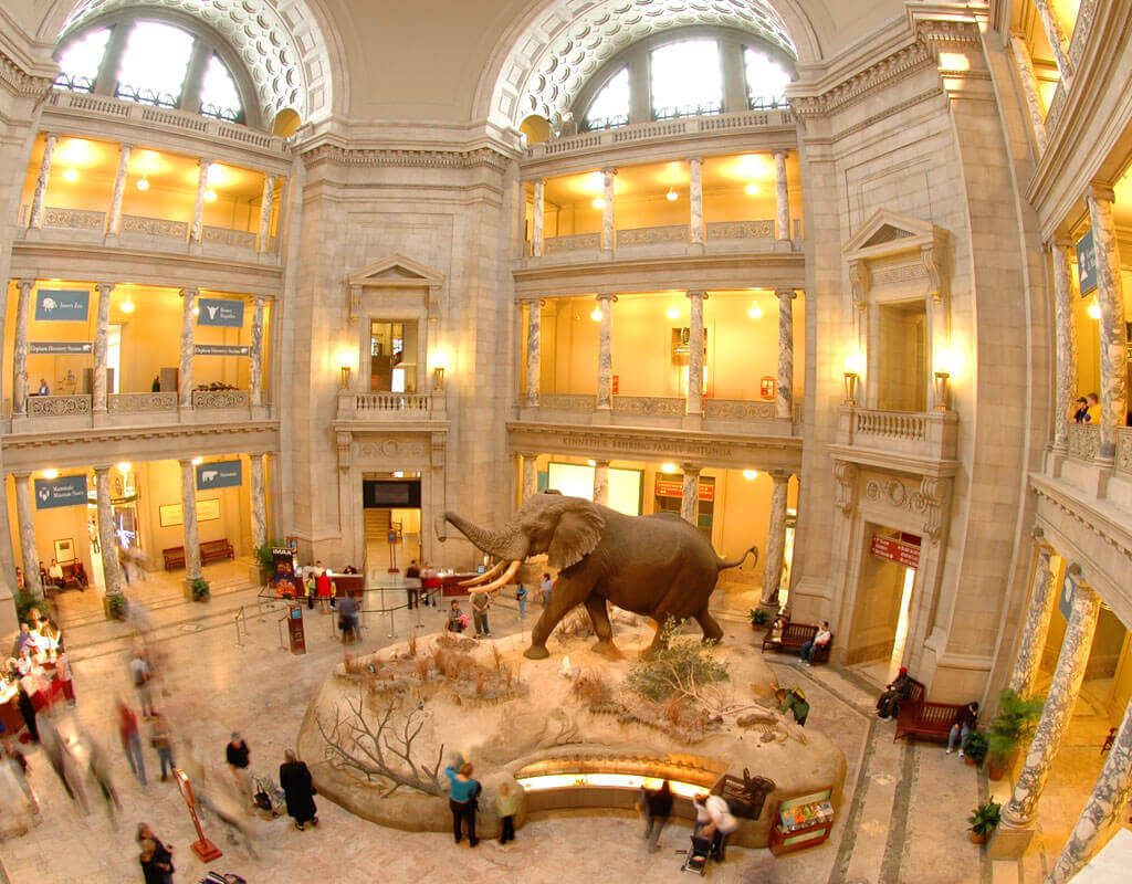 smithsonian museum natural history