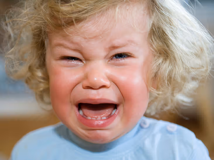 732x549 toddler hell